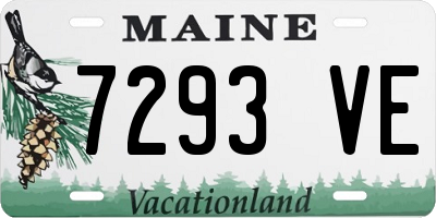 ME license plate 7293VE