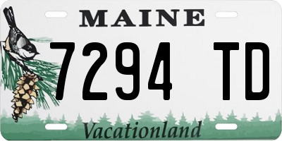 ME license plate 7294TD