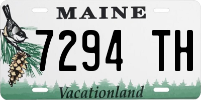 ME license plate 7294TH