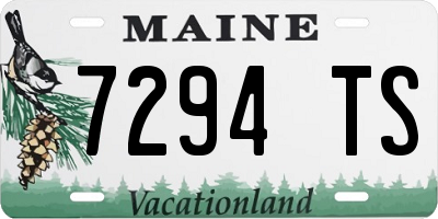 ME license plate 7294TS