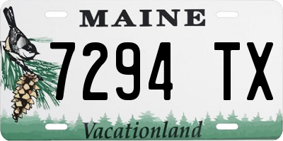 ME license plate 7294TX