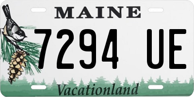 ME license plate 7294UE
