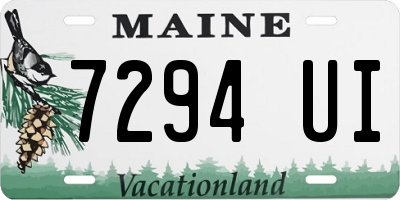 ME license plate 7294UI