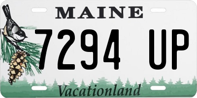 ME license plate 7294UP
