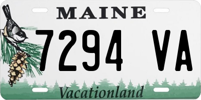 ME license plate 7294VA