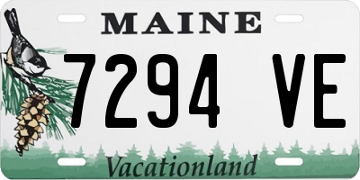ME license plate 7294VE