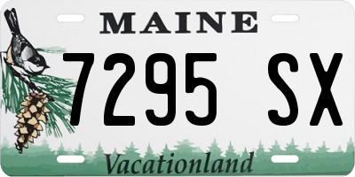 ME license plate 7295SX