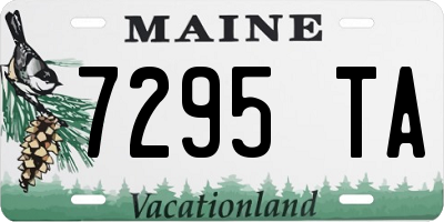ME license plate 7295TA