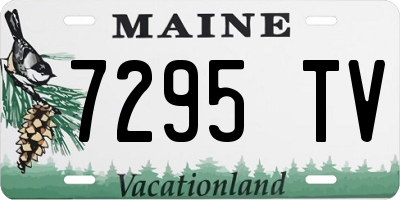 ME license plate 7295TV
