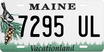 ME license plate 7295UL