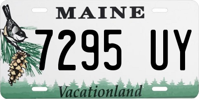 ME license plate 7295UY