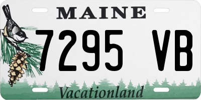 ME license plate 7295VB