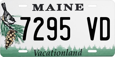 ME license plate 7295VD