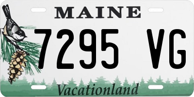 ME license plate 7295VG