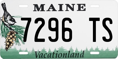 ME license plate 7296TS