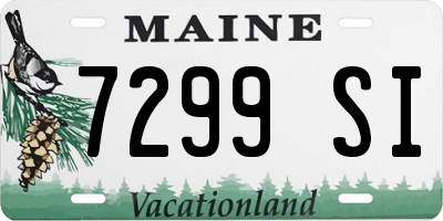 ME license plate 7299SI