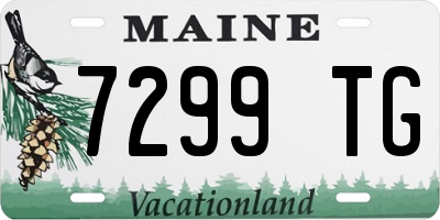 ME license plate 7299TG