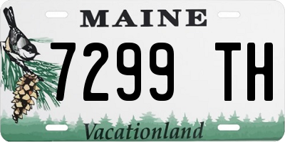 ME license plate 7299TH