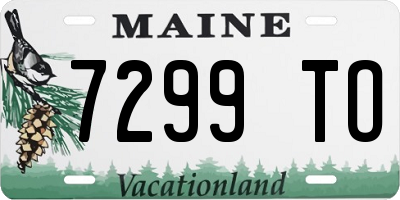 ME license plate 7299TO