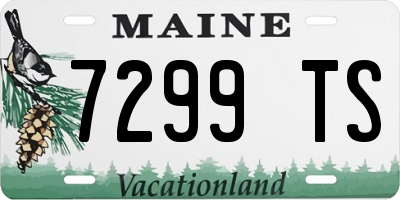 ME license plate 7299TS