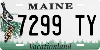 ME license plate 7299TY