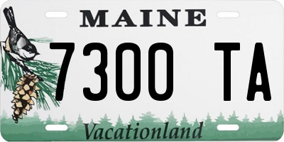 ME license plate 7300TA