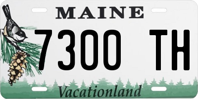 ME license plate 7300TH