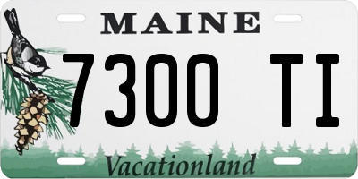 ME license plate 7300TI