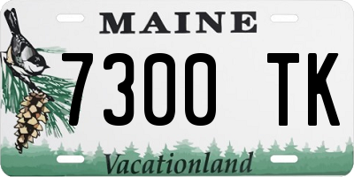 ME license plate 7300TK