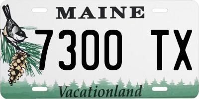 ME license plate 7300TX