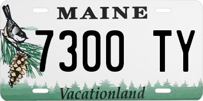 ME license plate 7300TY