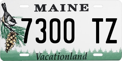 ME license plate 7300TZ