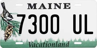 ME license plate 7300UL