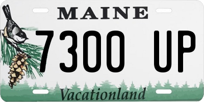 ME license plate 7300UP