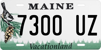 ME license plate 7300UZ