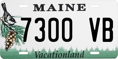 ME license plate 7300VB