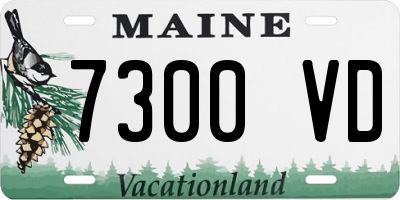 ME license plate 7300VD