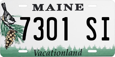 ME license plate 7301SI