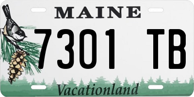 ME license plate 7301TB