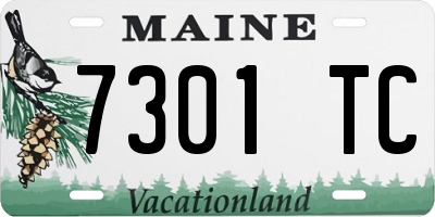 ME license plate 7301TC