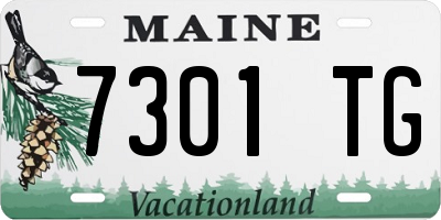 ME license plate 7301TG