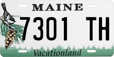 ME license plate 7301TH