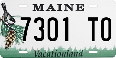 ME license plate 7301TO