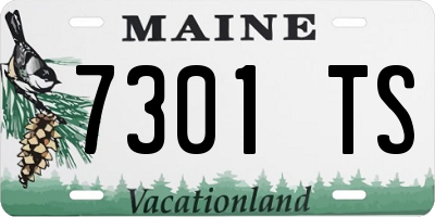 ME license plate 7301TS