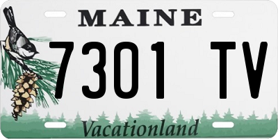 ME license plate 7301TV