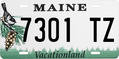 ME license plate 7301TZ