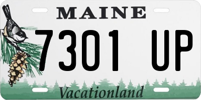 ME license plate 7301UP