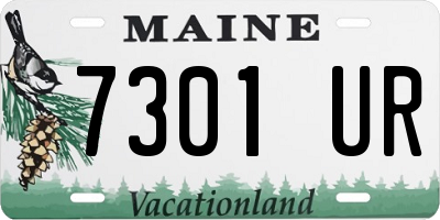 ME license plate 7301UR