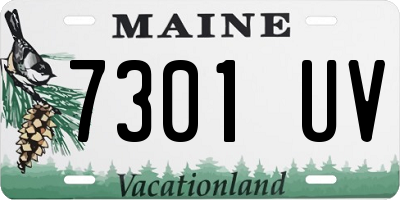 ME license plate 7301UV