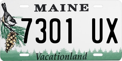 ME license plate 7301UX